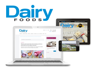 about dairy foods