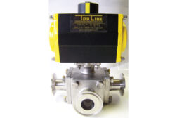 Top Line Process Equipment valve