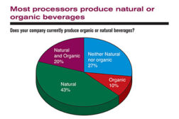 Processor information chart