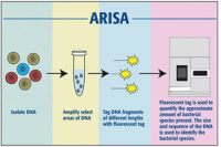 Dairy innovations