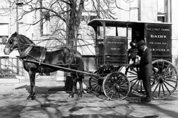 Horse and cart delivery of dairy products