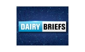 Dairy-Briefs-900-550.jpg