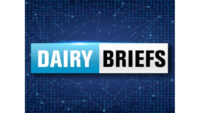 Dairy briefs