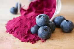 blueberries and powder.jpg