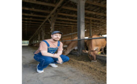 Approved MrBeast Farm Image.jpg