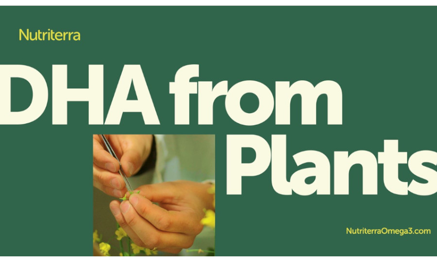 DHA from Plants.jpg