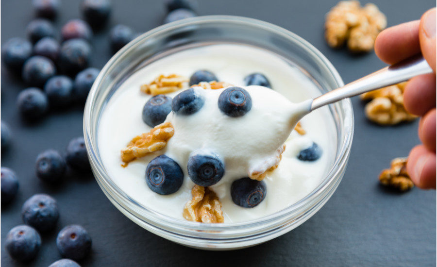 Help Support Your Gut Health with Probiotic Yogurt with Less Sugar! -  Nutrition Starring YOU