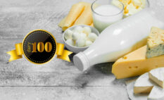 Dairy 100