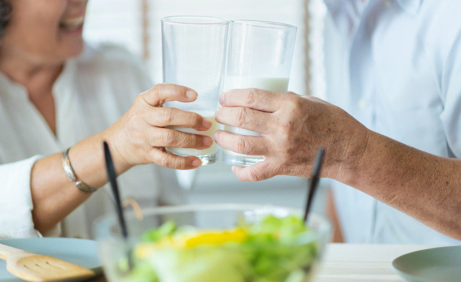 Discovering the Best Milk for Elderly