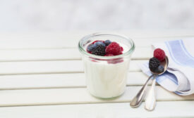 yogurt and berries