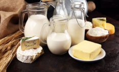 dairy products