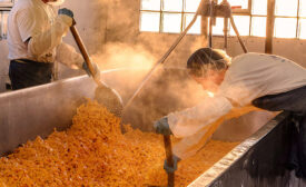 making cheese curds