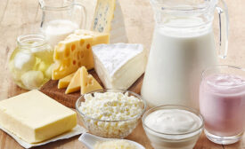 dairy products