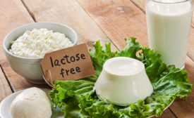 lactose free dairy products