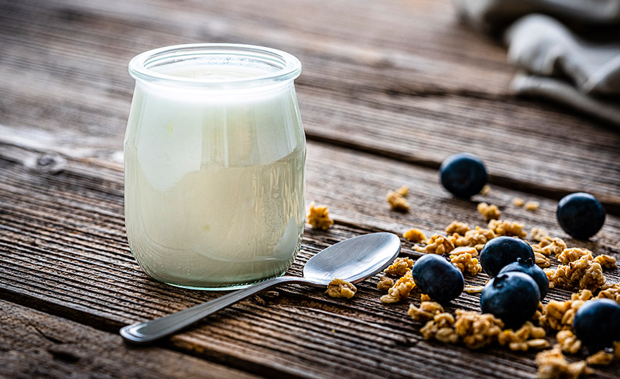 yogurt, blueberries and granola