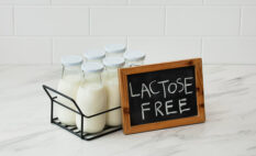 lactose free milk