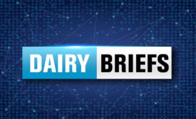 Dairy briefs