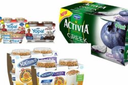 Dannon's parent Danone acquires yoCrunch