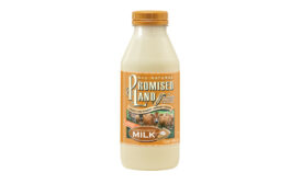 Promised Land Pumpkin Spice milk