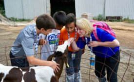 Hastings Farm Tour