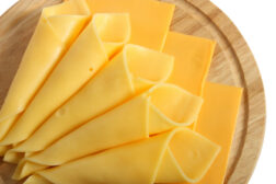 Biocatalysts - Processed Cheese