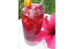 Teawolf Hibiscus extract