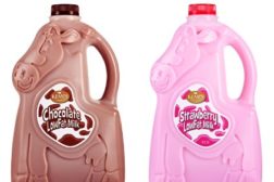 Kemps cow bottles for flavored milk