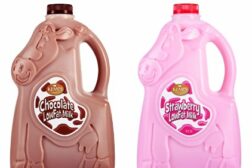 Kemps cow bottles for flavored milk